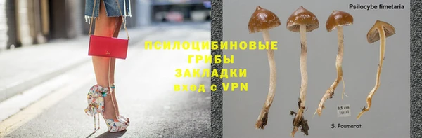 прущий лед Вязьма