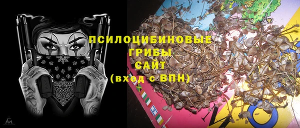 прущий лед Вязьма