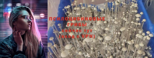 прущий лед Вязьма