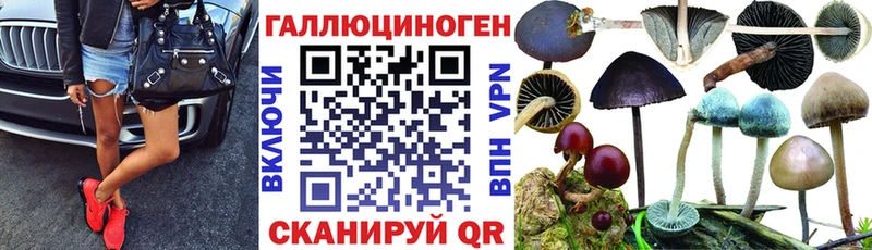 shop какой сайт Липецк Псилоцибиновые грибы Psilocybine cubensis МЕГА онион
